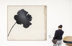 Milano e i suoi musei - <p>Museo del Novecento, la Rosa nera di Jannis Kounellis. </p>